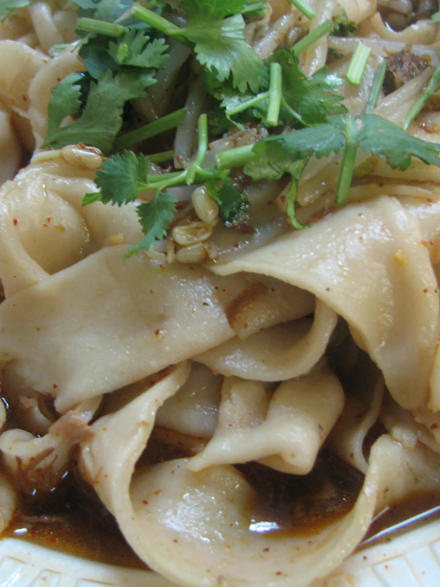 biangbiang noodles: Biang Biang Mian closeup