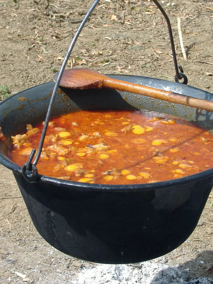 goulash, a photograph of the dish