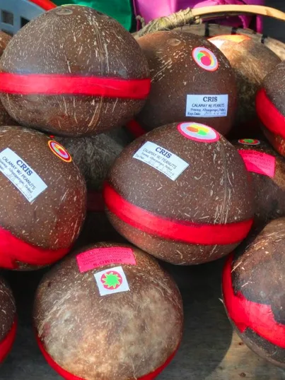 Kalamay: Kalamay, also spelled calamay, flavoured with peanut butter. Kalamay is a sweet viscous dessert from the Philippines traditionally packaged into empty coconut shells