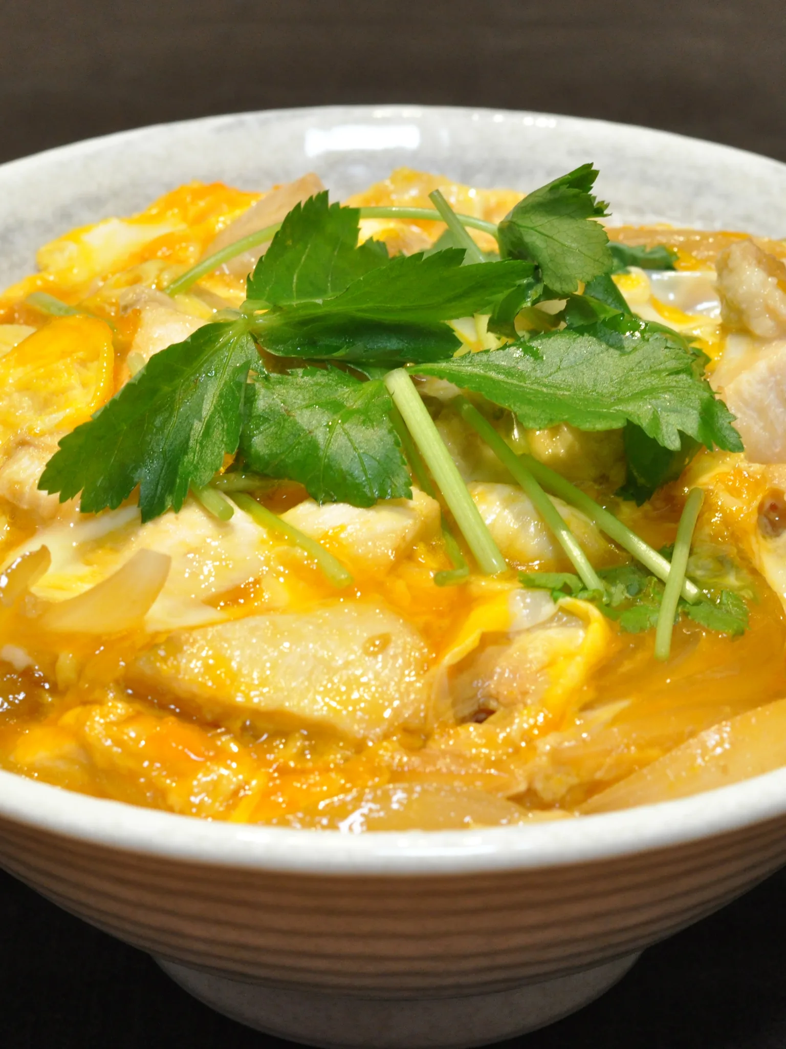 oyakodon: A bowl of rice topped with boiled chicken and eggs