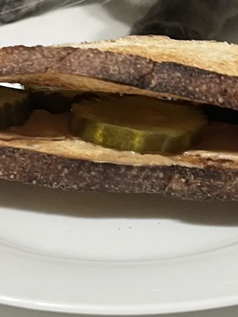 peanut butter and pickle sandwich: A cat next to a peanut butter pickle sandwich