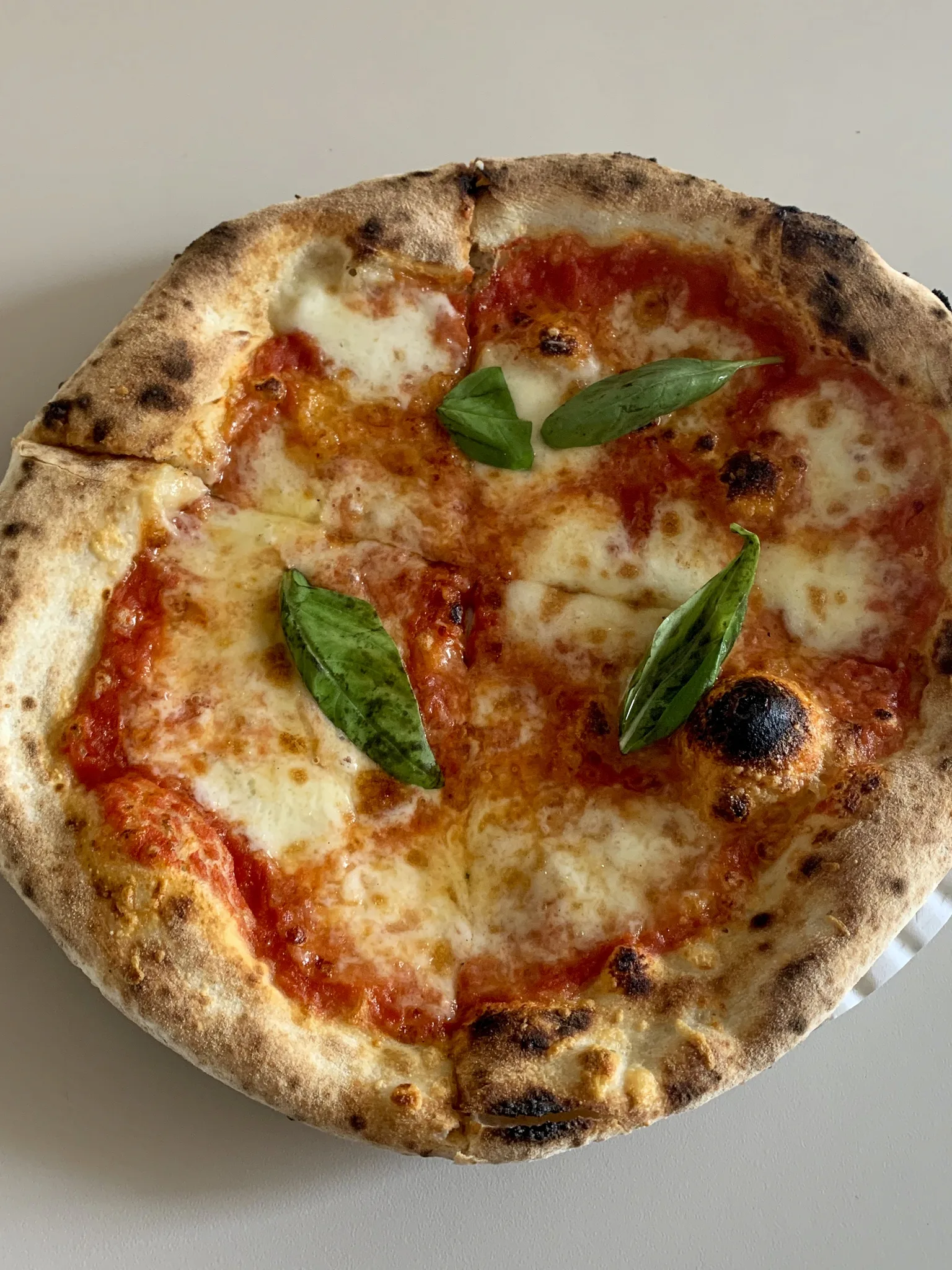 Pizza Margherita: Neapolitan pizza at Trappica