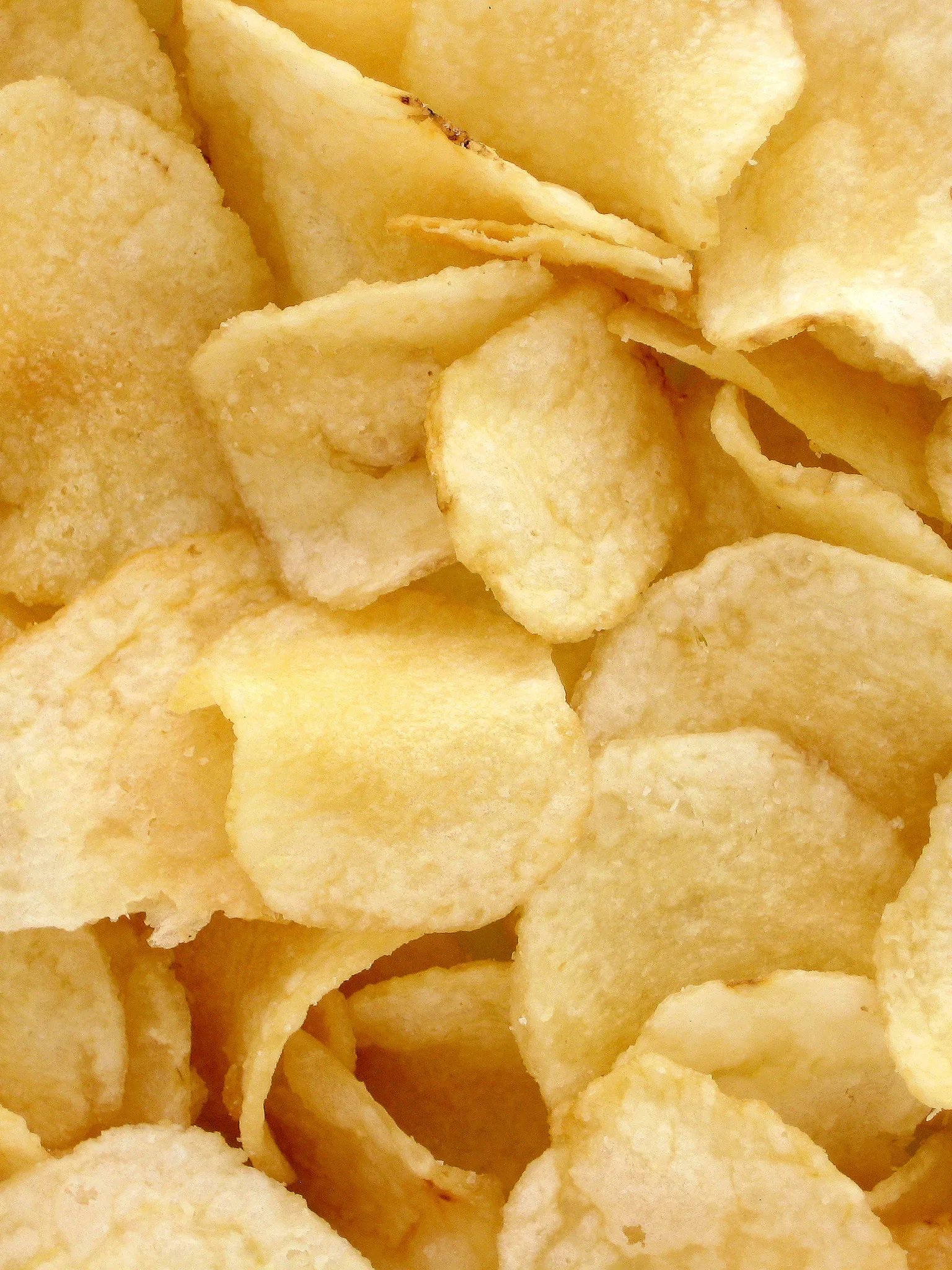 potato chip: A pile of potato chips. These are Utz-brand, grandma's kettle-cooked style