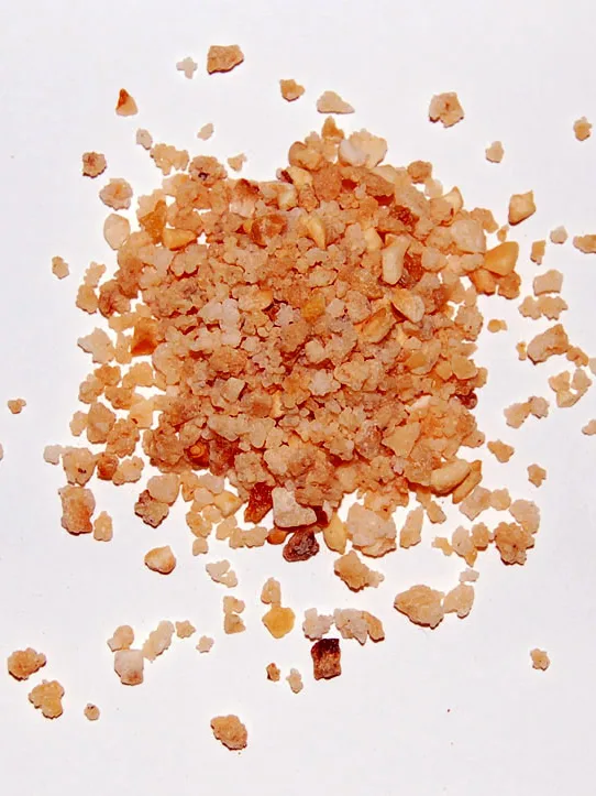 Praline, a photograph of the dish