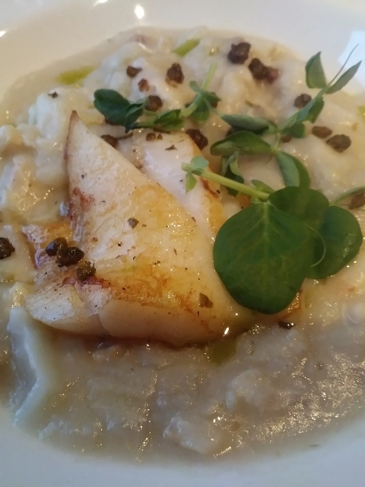 Quiaude: Traditionnal Gaspesian turbot stew