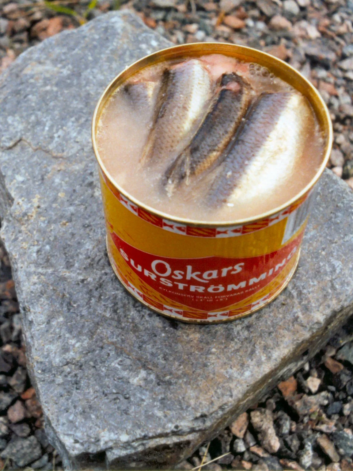 surströmming: Surströmming – a fish speciality from north Sweden