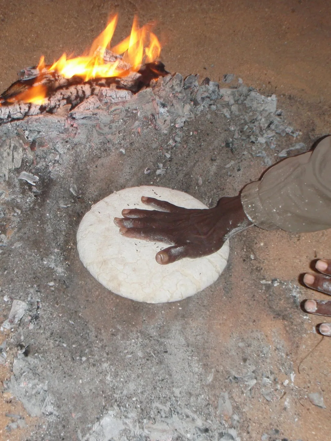 Taguella: PB190376.JPG