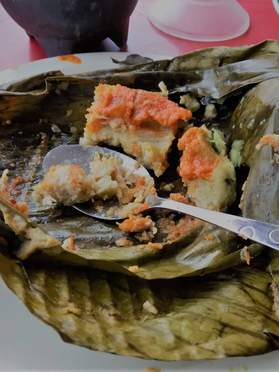 tamale: Tamal oaxaqueño de pollo, alimento tradicional mexicano
